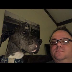 Meet your Posher, Casey